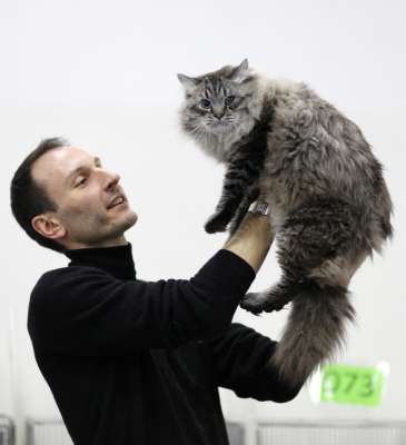 �������� ����� '������� ���-�����' 30 ������-1 ������� 2013., ������������ ��� 3782